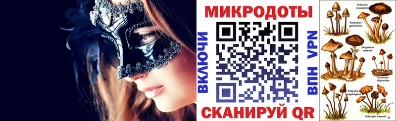 Псилоцибиновые грибы Cubensis Очёр